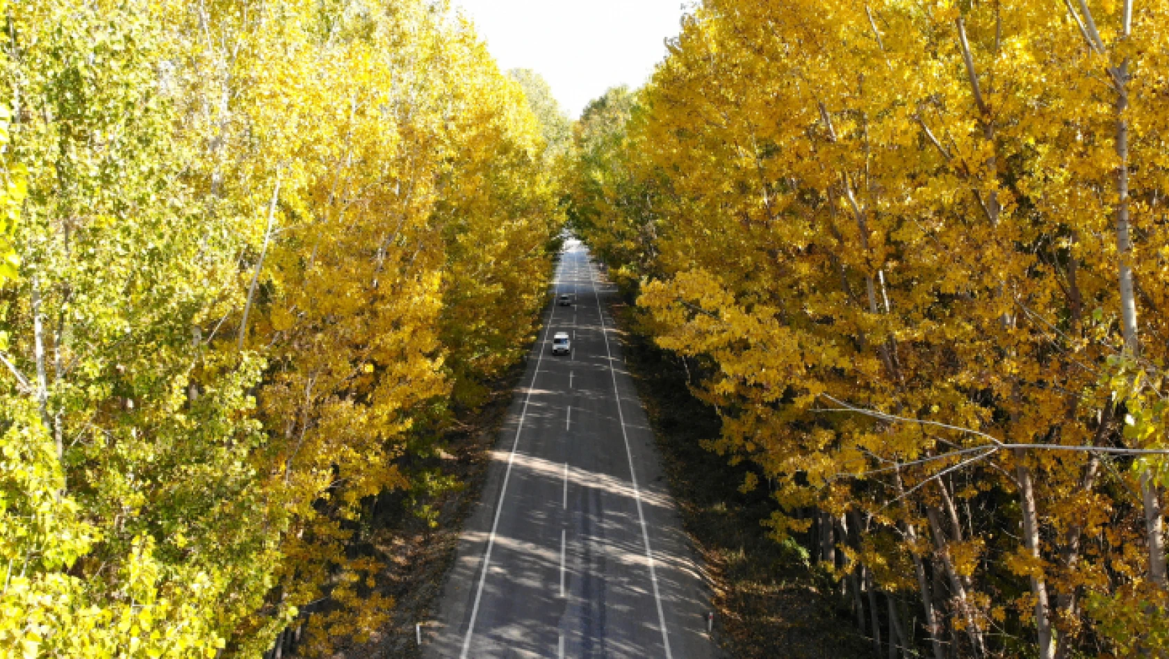 Ağaçların oluşturduğu sonbahar tüneli hayran bırakıyor
