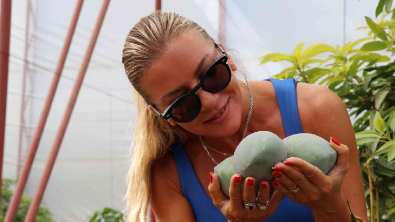Yılın ilk mango hasadı Ivana Sert'ten