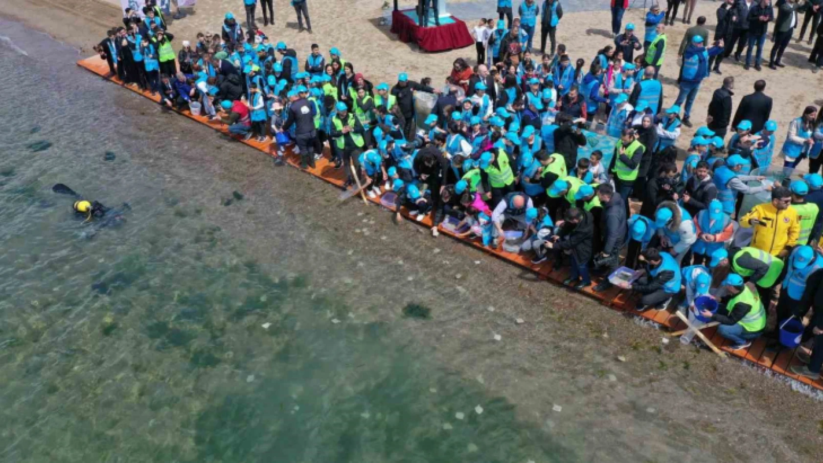 Binlerce yavru balık İzmit Körfezi'ne salındı: Adım adım izlenecekler