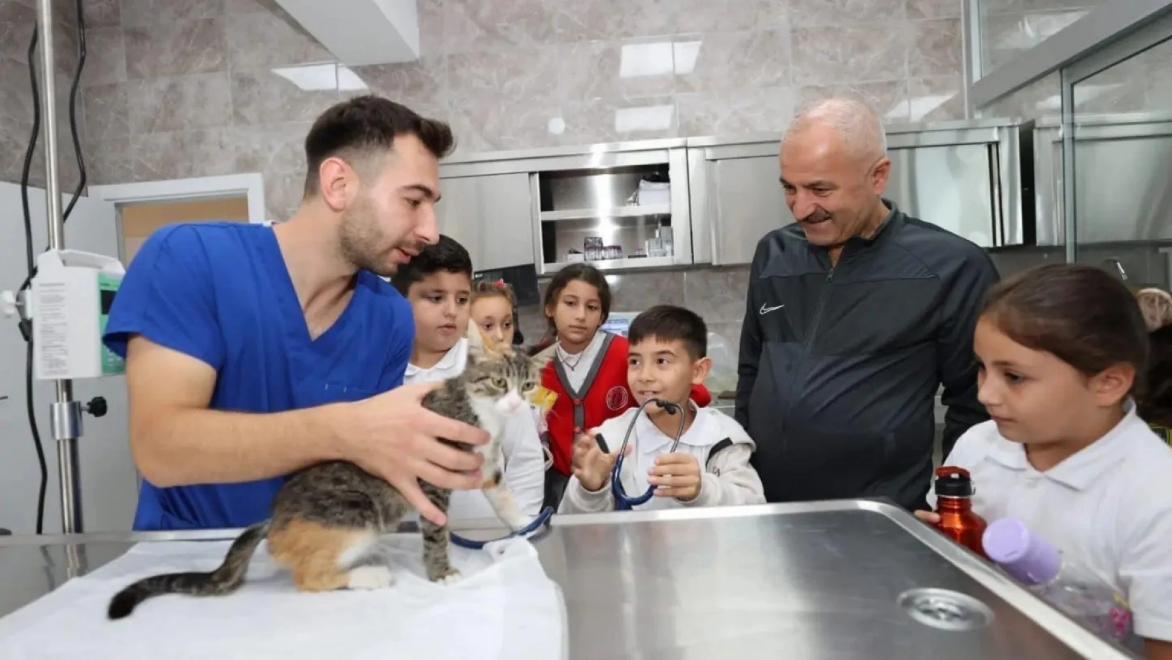 Gebze'de 10 bin 939 yaralı ve hasta hayvanın tedavisi yapıldı