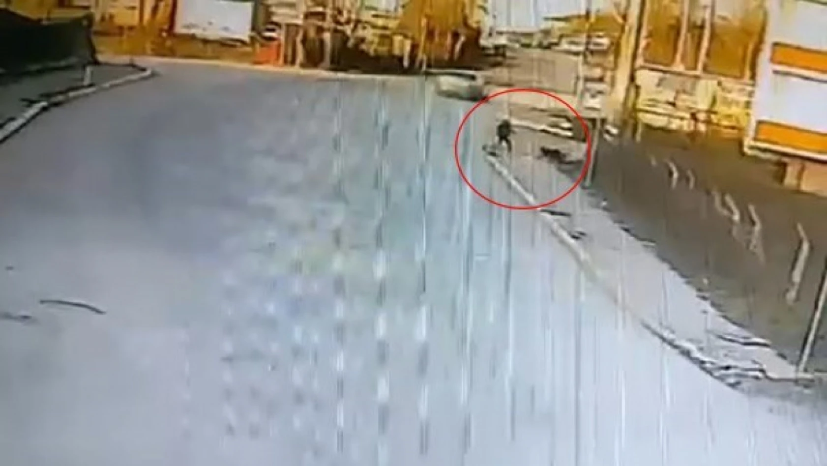 Kandıra'da okula giden çocuğa 2 köpek saldırdı