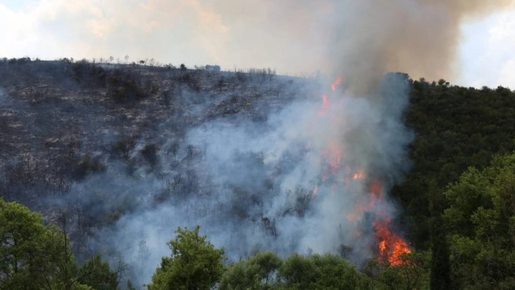 Kocaeli'de ormanlık alanda çıkan yangına müdahale sürüyor