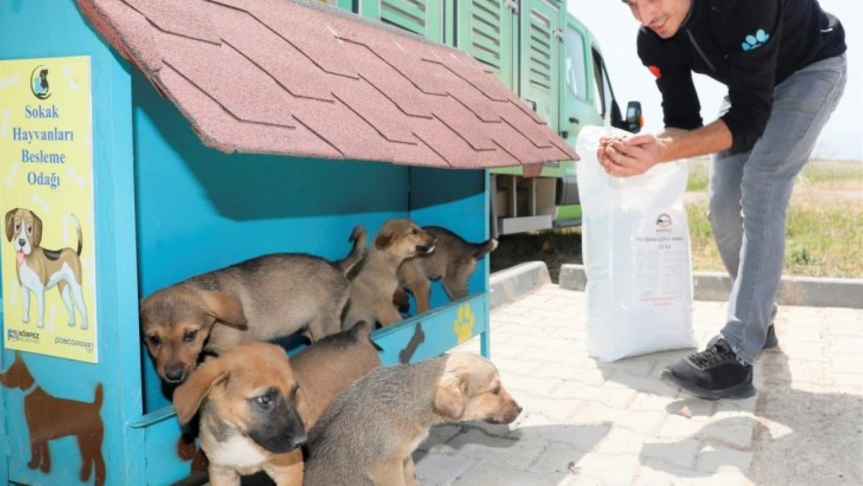 Körfez'de sokak hayvanları için beslenme noktaları oluşturuldu