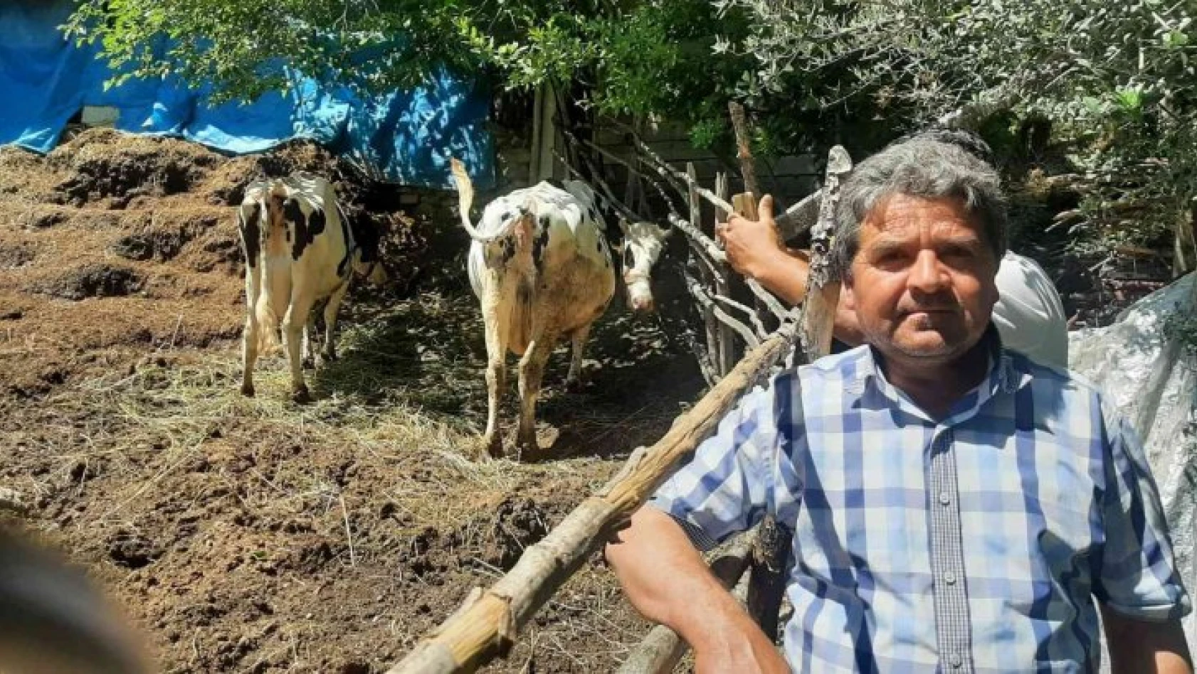 Osmaniye'de köylülerden ucuz süt fiyatına tepki
