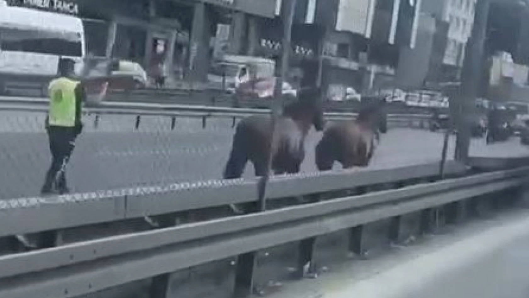 D-100 Karayolu'nda koşan başı boş atlar trafiği birbirine kattı