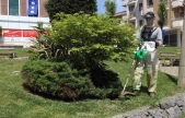 Darıca'da yeşil alanlarda bahar mesaisi