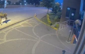 Doğaya salınan kızıl geyikler şehri çok sevdi