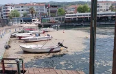 Karamürsel sahili müsilajla kaplandı