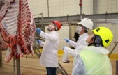Kurban kesim başvuruları 15 Mayıs'ta başlıyor