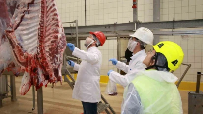 Kurban kesim başvuruları 15 Mayıs'ta başlıyor