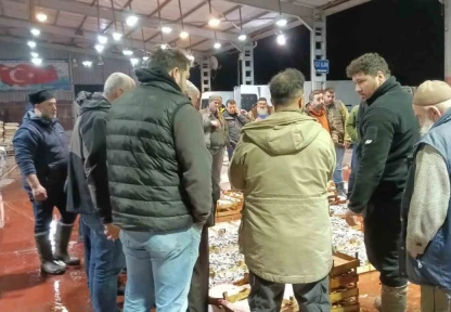 Av yasağı başladı, küçük teknelerin getirdiği balıklar mezatta satıldı