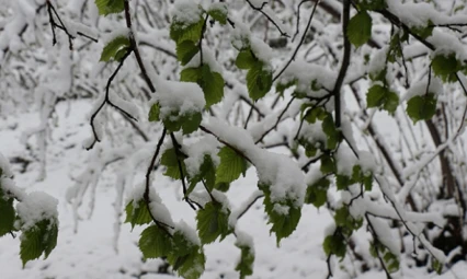 Meteorolojiden soğuk hava ve zirai don uyarısı