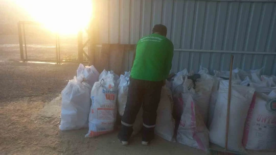 Budanan ağaçlar, dar gelirli ailelere yakacak oluyor