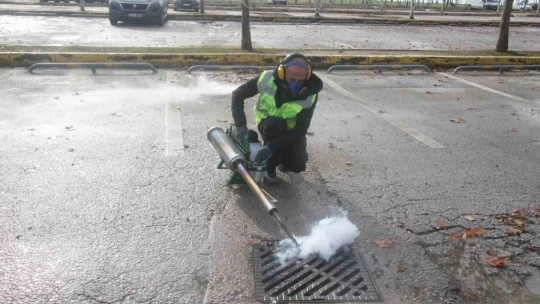 Haşerelerin üremesini önlemek amacıyla ilaçlama yapılıyor
