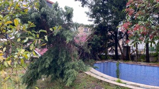 Kocaeli'de çatı uçtu, 6 otomobil hasar gördü