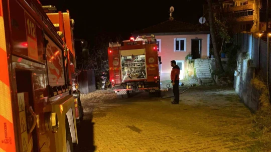 Yaşlı kadın yangına uykuda yakalandı