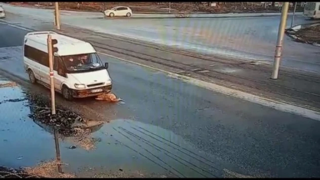 Yaralı köpeğe akıl almaz muamele !