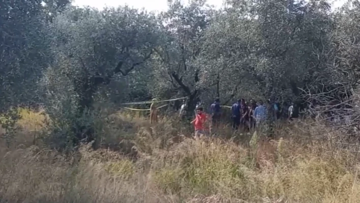 2 gündür kayıp olarak aranan kişi zeytin bahçesinde ölü bulundu