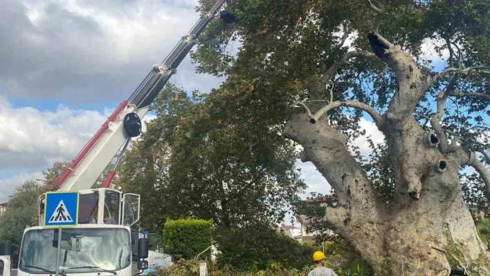 850 yıldır tarihe tanıklık ediyor