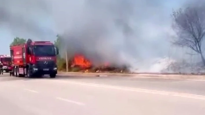 Ağaçlık alanda çıkan yangın itfaiye tarafından söndürüldü