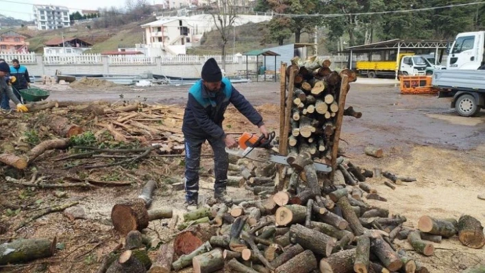 Başiskele'de yakacak odun yardımları sürüyor