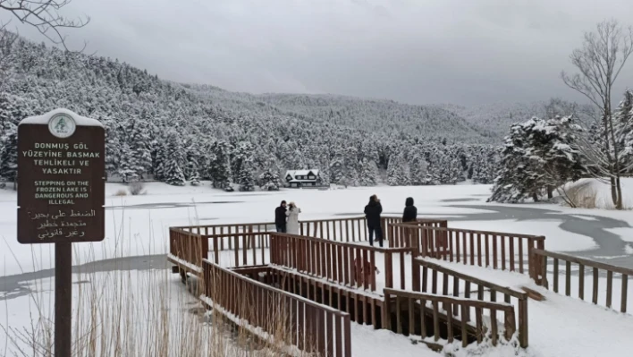 Bolu'nun incisi Gölcük buz tuttu , kartpostallık manzaralar ortaya çıktı