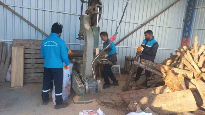 Budanan ağaçlar, dar gelirli ailelere yakacak oluyor