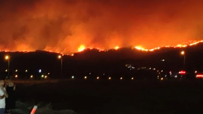 Çanakkale'deki orman yangını.. Yanan alanlar havadan görüntülendi