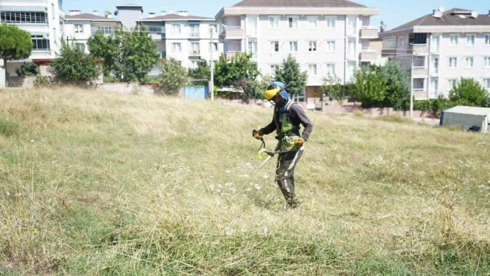 Çayırova'da yabani ot temizliği sürüyor