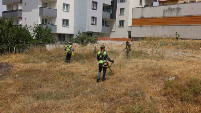 Çayırova'da yabani otlar temizleniyor