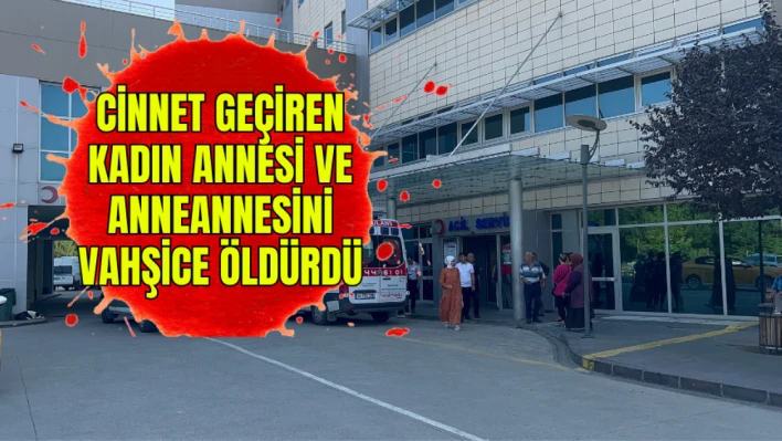 Cinnet geçiren kadın annesi ve anneannesini vahşice öldürdü