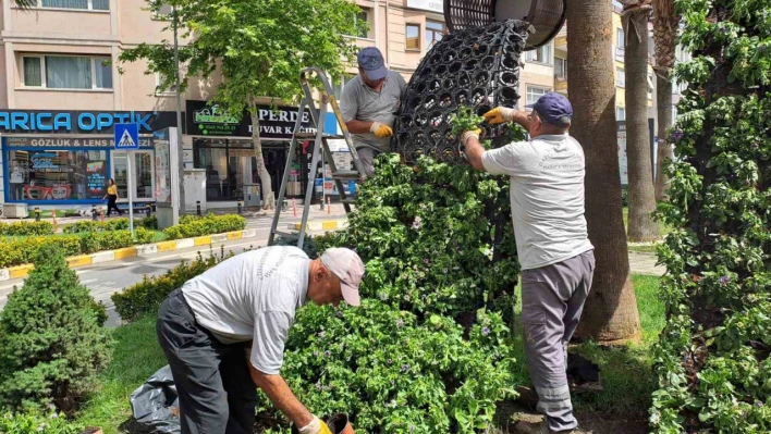 Darıca'da Kurban Bayramı öncesi hummalı çalışma sürüyor