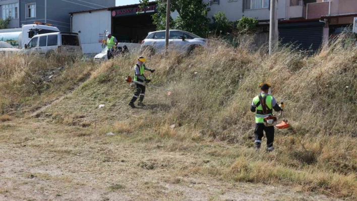 Darıca'da yaz temizliği başladı