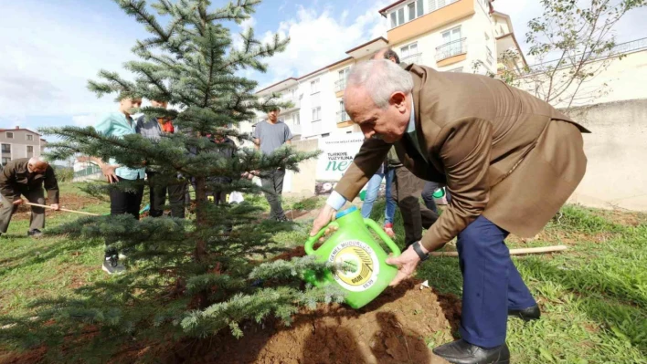 Derince'de fidanlar toprakla buluşturuldu