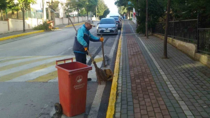 Derince'de hummalı temizlik