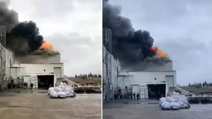 Edirne'de fabrika yangını! Çok sayıda ekip bölgeye sevk edildi..