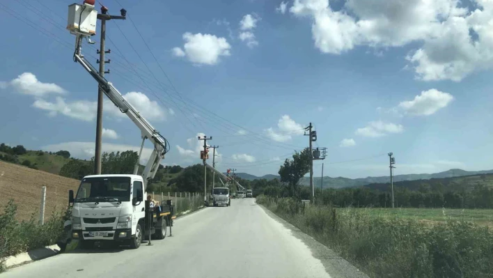 Elektrik direklerine konan leyleklerin akıma kapılmaması için seferber oldular