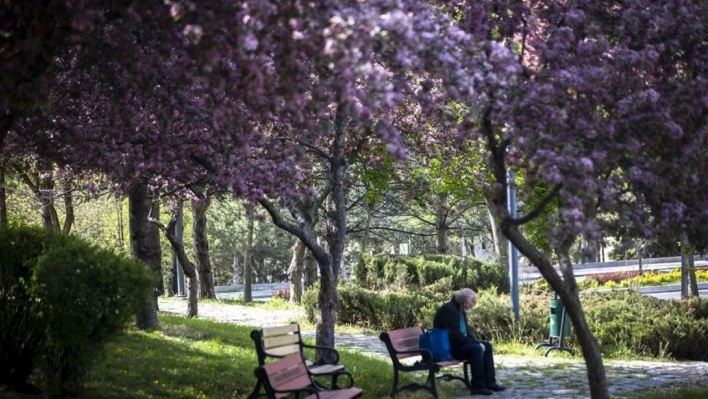 En sıcak kış geride kaldı, sırada en sıcak bahar var