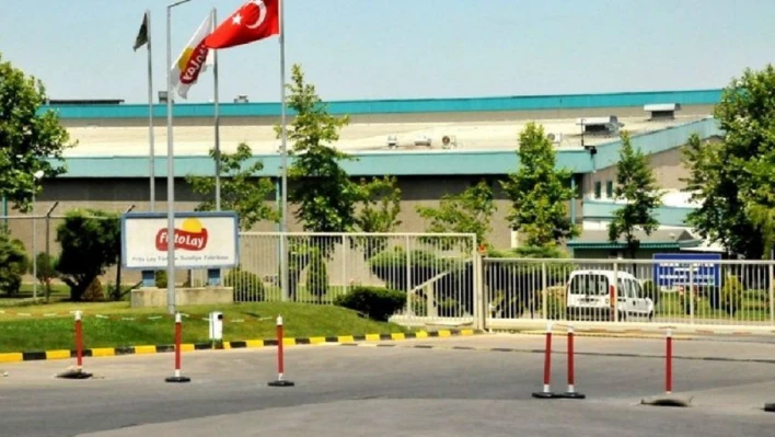 Fritolay işçisi için rekor taslak!