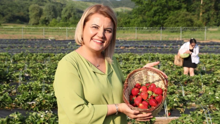 Hasadı yapılacaktı, belediyeye hırsızlık şoku