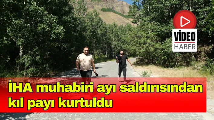 İHA muhabiri ayı saldırısından kıl payı kurtuldu