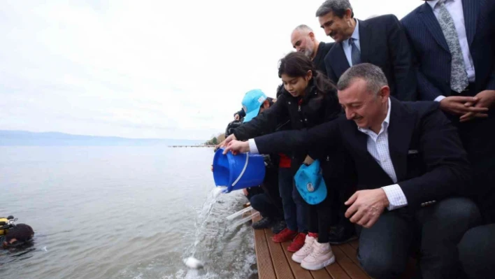 İzmit Körfezi'ne 6 bin balık daha bırakıldı: Adım adım izlenebilecekler