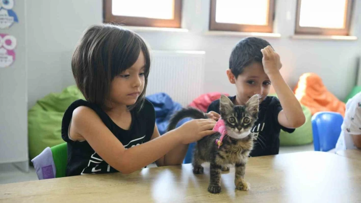 Kahve'nin yavrularını Bilgi Evleri sahiplendi
