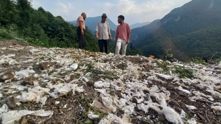Kamyon dolusu atığı ormana atan firmaya 812 bin TL ceza