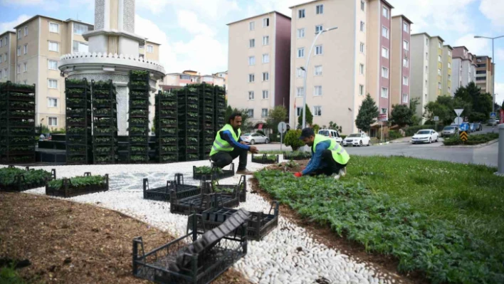 Kavşaklar mevsimlik çiçeklerle güzelleşiyor
