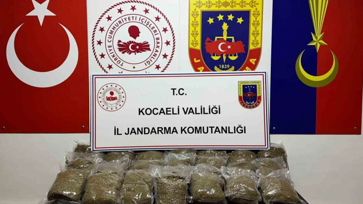 Kocaeli'de 2 araçta 23 kilo bonzai ele geçirildi