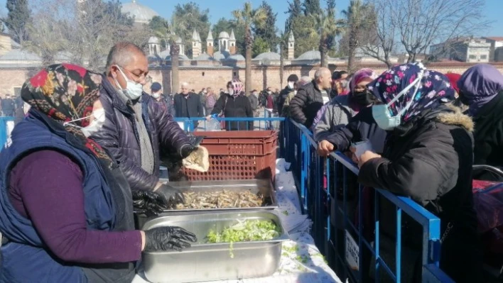 Kocaeli'de vatandaş hamsiye doydu