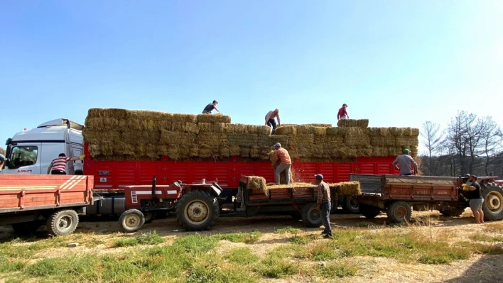 Kocaeli'den Çanakkale'deki yangın mağduru çiftçilere destek