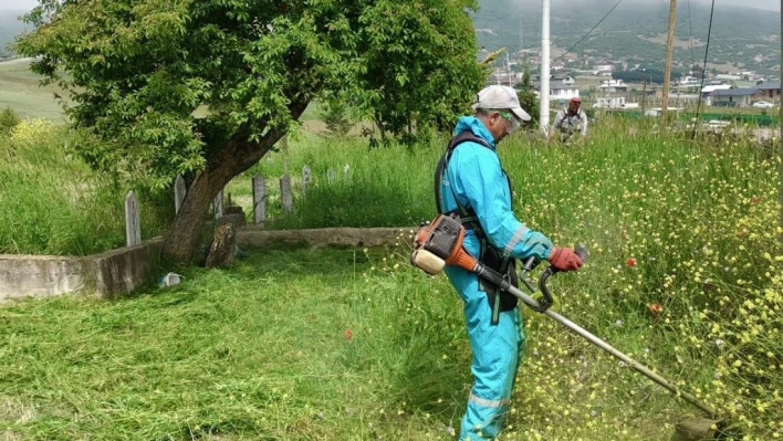 Körfez'de yabani otlarla mücadele sürüyor