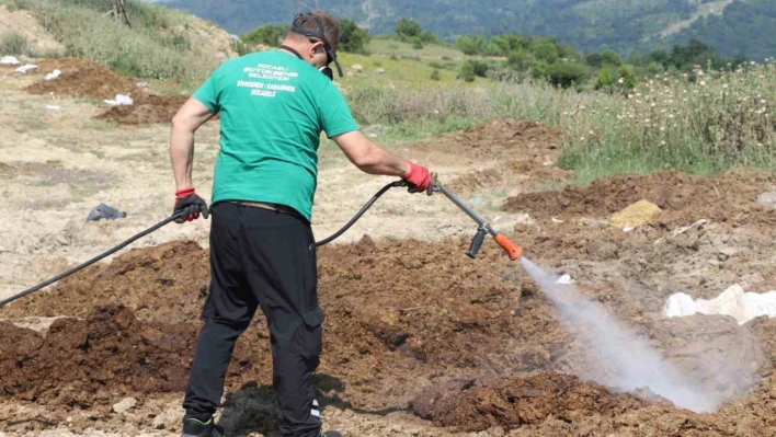 Kurban satış alanları ilaçlanıyor